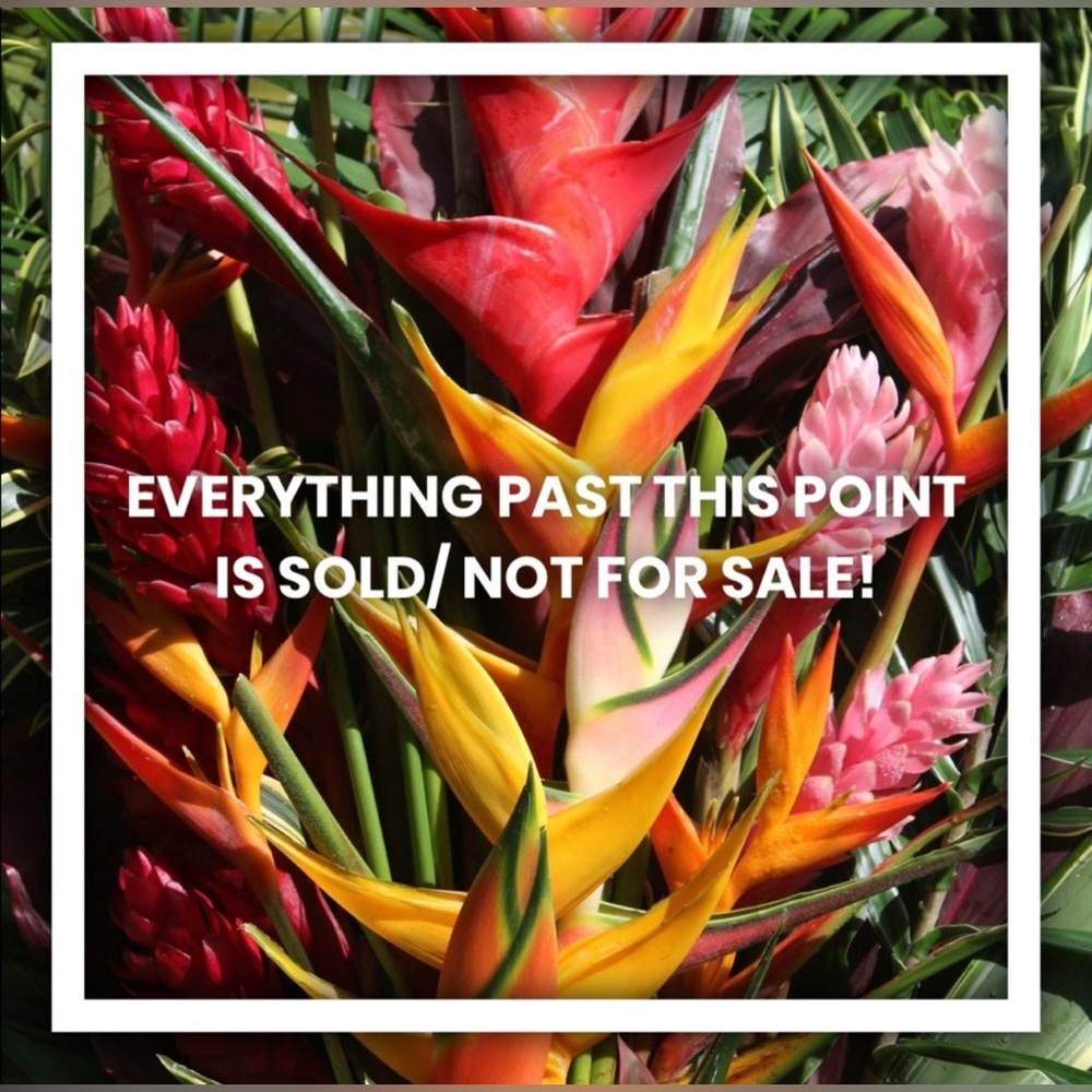 Everything past this point is sold/not for sale